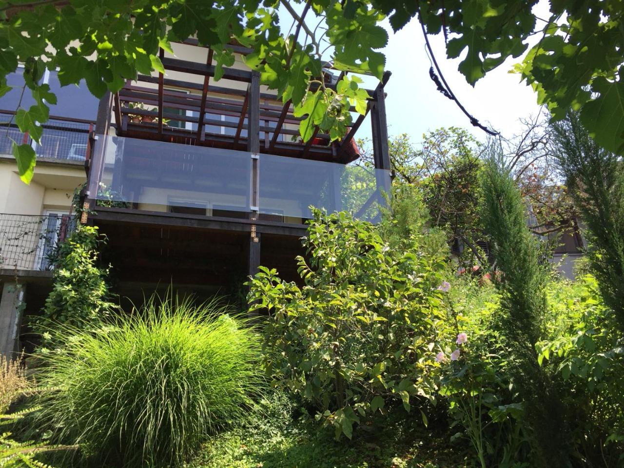 شقة Pergola House In A Green Oasis With Fantastic View بيتروفارادين المظهر الخارجي الصورة