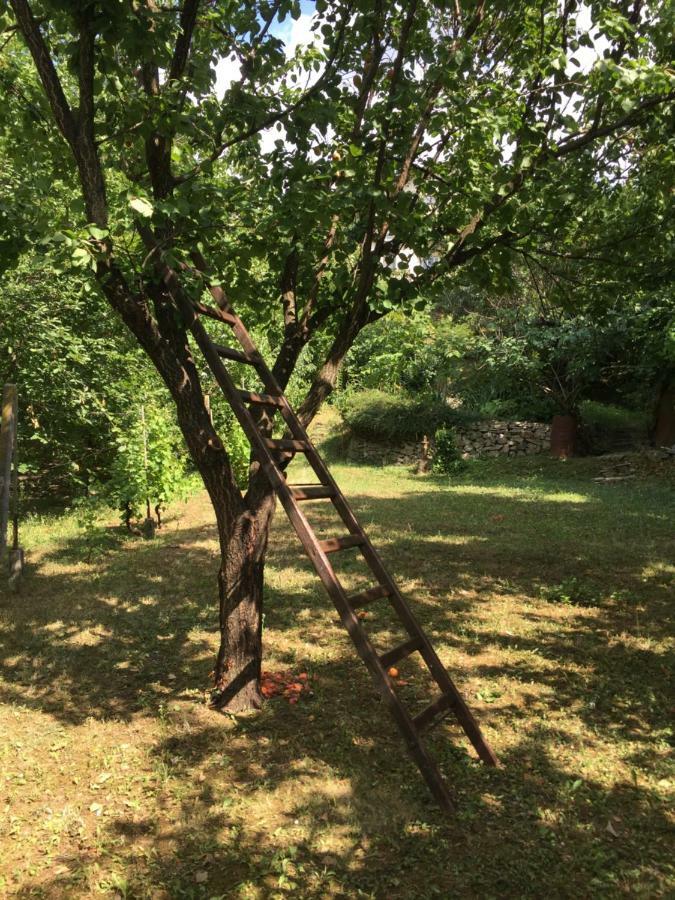 Pergola House In A Green Oasis With Fantastic View بيتروفارادين المظهر الخارجي الصورة